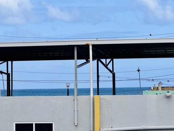 Terra (Adults Only) Photo 11